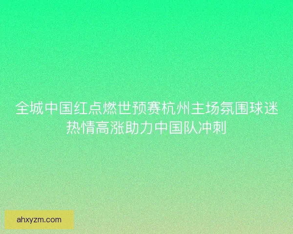 全城中国红点燃世预赛杭州主场氛围球迷热情高涨助力中国队冲刺