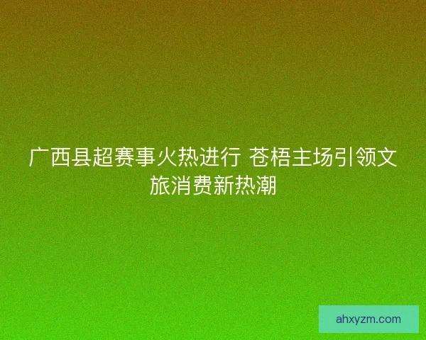 广西县超赛事火热进行 苍梧主场引领文旅消费新热潮 广西县超赛事火热进行 苍梧主场引领文旅消费新热潮