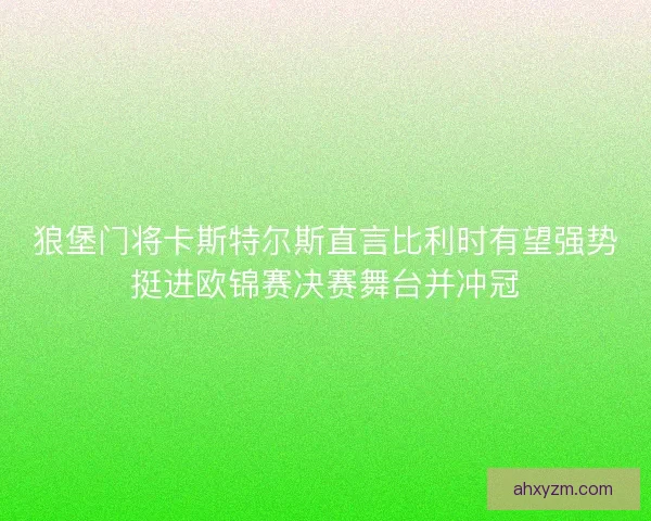 狼堡门将卡斯特尔斯直言比利时有望强势挺进欧锦赛决赛舞台并冲冠